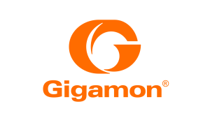 gigamon